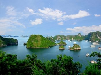 Discovery Ha Long bay one day by 4 hours cruise