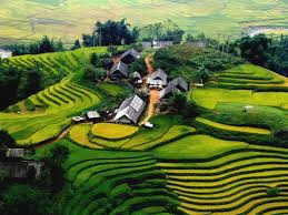 Sapa trekking tour (2days/3nights) sleep in homestay by bus