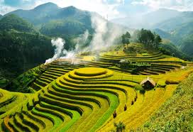 Sapa Trekking Tour (2days/1night) sleep in hotel by bus